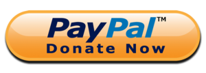 Voices Of Cancer paypal donate button